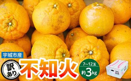先行予約 訳あり 熊本大見柑 (不知火) 約3kg(7〜12玉前後)2027年3月上旬から2027年4月中旬発送予定