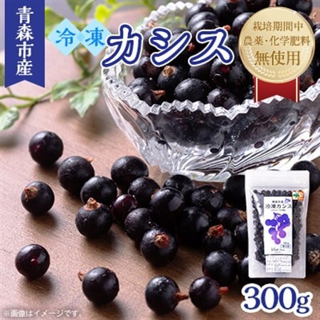 青森市産冷凍カシス300g【令和8年7月収穫品】_果物・フルーツ   くだもの_【配送不可地域：離島】【1543579】