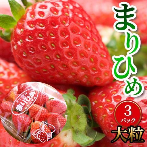 ［先行予約］いちご（まりひめ）3パック［和歌山生まれのイチゴ］