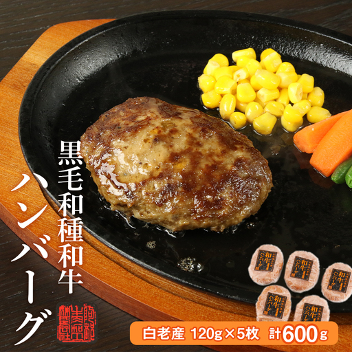 黒毛和種和牛ハンバーグ(白老産) 120g×5枚 計600g