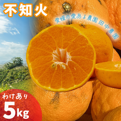 [2027年2月下旬頃から順次発送]不知火 しらぬい 約5kg [訳あり]でこぽんと同品種 柑橘類 先行予約 フルーツ 柑橘類 先行予約 果物 フルーツ みかん シラヌイ 人気 おすすめ 愛媛 松山 田中農園[TNN0042]
