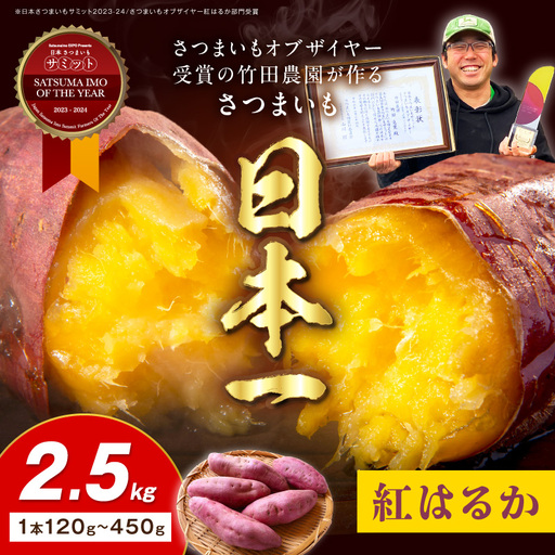 [さつまいも][先行予約]日本一のさつまいも 2.5kg|2026年11月中旬から発送