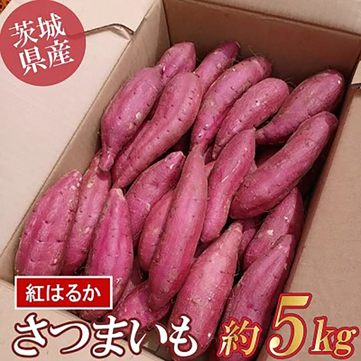 さつまいも 茨城県産 紅はるか 5kg さつまいも
