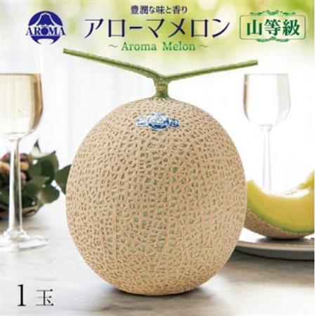 【通年出荷】アローマメロン(山等級) 1玉入【品格溢れる高級品】【配送不可地域：離島・北海道・沖縄県】【1170113】