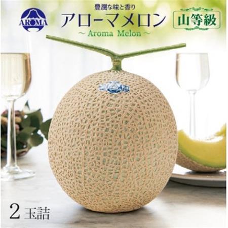 【通年出荷】アローマメロン(山等級) 2玉入【品格溢れる高級品】【配送不可地域：離島・北海道・沖縄県】【1170114】