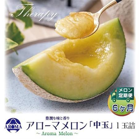 【毎月定期便】アローマメロン白等級(中玉) 1玉 全6回【配送不可地域：離島・北海道・沖縄県】【4013017】
