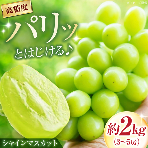 [先行予約]シャインマスカット 約2kg 3-5房入 BKAD043 マスカット