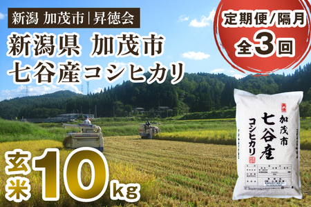 【令和8年産新米先行予約】【定期便3回隔月お届け】七谷産コシヒカリ 玄米10kg（5kg×2）《10月中旬～順次出荷》 高柳地域産数量限定 昇徳会