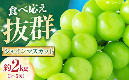 【先行予約】シャインマスカット 約2kg 3-5房入 BKAD045 マスカット