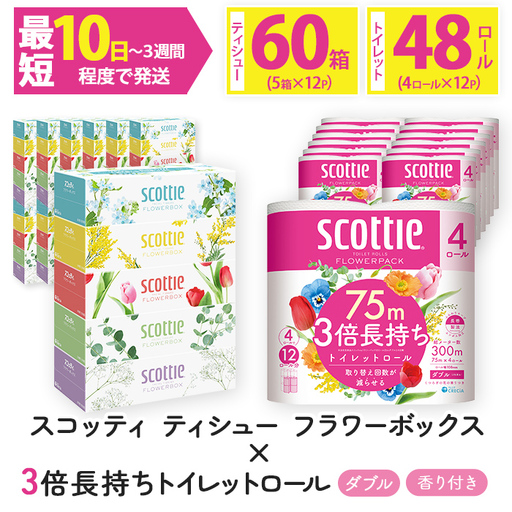 スコッティトイレットロール 48個 + ボックスティッシュ 60箱(トイレットペーパー ティッシュ)