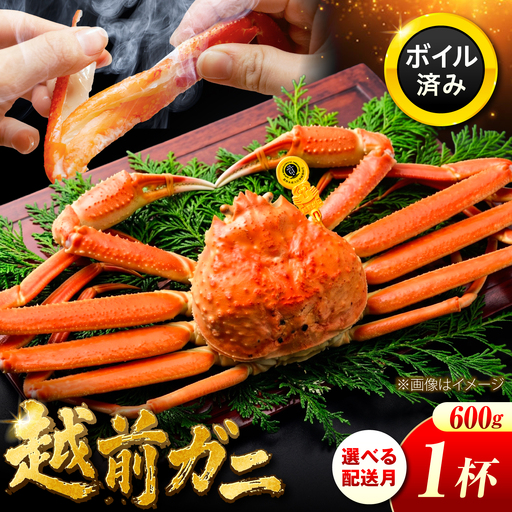 越前がに 600g×1ハイ [先行予約/11月7日より順次発送][希望月指定可] / 蟹 ズワイガニ ずわいがに ボイル 冷蔵 小浜市 / まるほ商店 [配送不可地域:北海道・沖縄・離島][BFCS018]