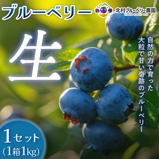 [ 先行予約 ] ブルーベリー ( 1kg ) 箱入り 生 無農薬 化学肥料不使用 摘みたて 冷蔵 大粒 濃厚 フルーツ 果物