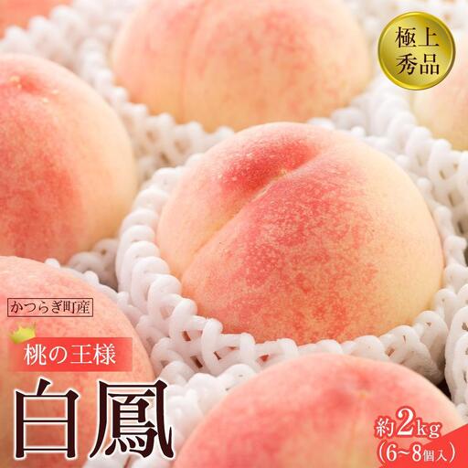 先行販売！［モモ］ 白鳳　桃の王様！約2kg6～8個 ［2027年6月下旬頃より順次発送］［秀品］こだわり農家厳選 ［KG12］