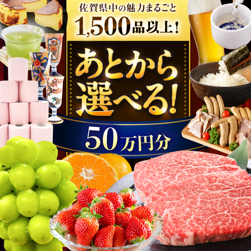 【あとから選べる】佐賀県ふるさとギフト 50万円分 [41AAZY009]