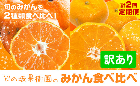 どの坂果樹園の訳ありみかん 食べ比べ定期便 2回