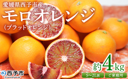 ＜愛媛県西予市産 モロオレンジ（ブラッドオレンジ）ご家庭用 約4kg＞ 訳あり 不揃い 果物 くだもの フルーツ みかん ミカン 蜜柑 柑橘 もろおれんじ 食べて応援 特産品 宇都宮物産 愛媛県 西予市【常温】『2026年2月中旬～4月上旬迄に順次出荷予定』UUB0056