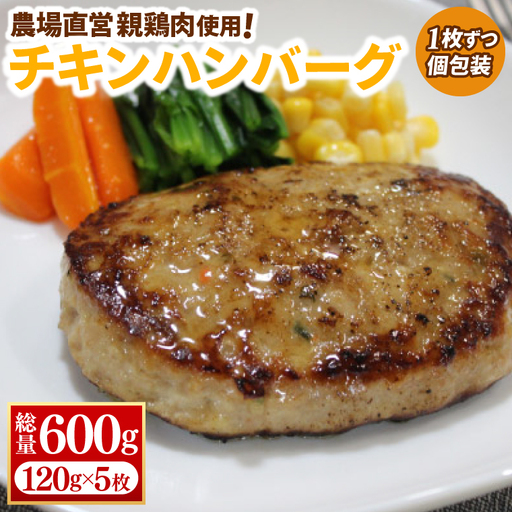 チキン ハンバーグ 120g×5枚 (AJ017) 農場直営親鶏肉使用 ハンバーグ