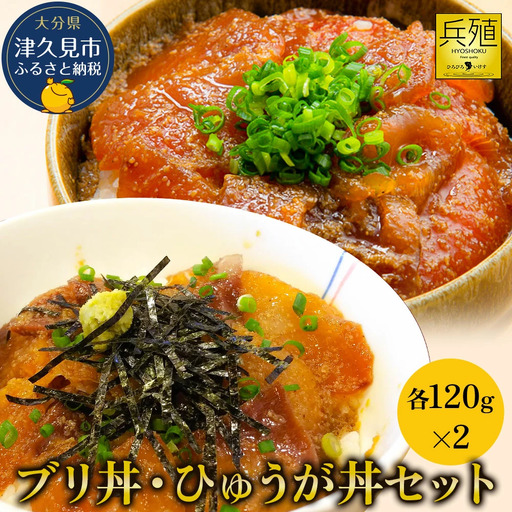 海鮮丼 ブリ・マグロ 海鮮丼セット | 津久見市