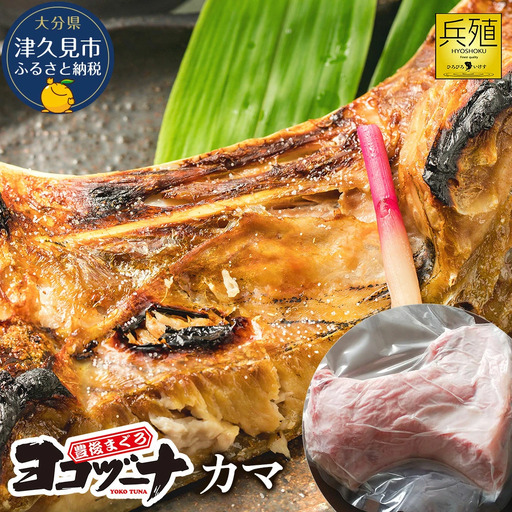 本まぐろ ヨコヅーナ 本まぐろカマ | 津久見市