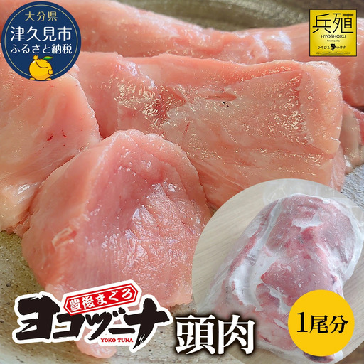 本まぐろ ヨコヅーナ 頭肉 1尾分 | 本まぐろ 津久見市