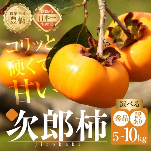 次郎柿 秀品 大玉 5kg 15~20玉 柿
