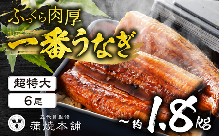 一番うなぎ蒲焼 超特大6尾 国産 うなぎ