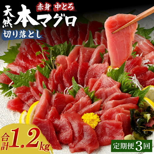 【定期便 / ３ヶ月連続】 天然本マグロ (赤身・中とろ) 切り落とし 合計１．２㎏  (100g×4パック×３回) マグロ 刺身 刺し身 魚 惣菜 海鮮丼 魚介類 食べきりサイズ 小分け 冷凍 訳あり 不揃い 傷 規格外 定期 連続 30000 頒布会