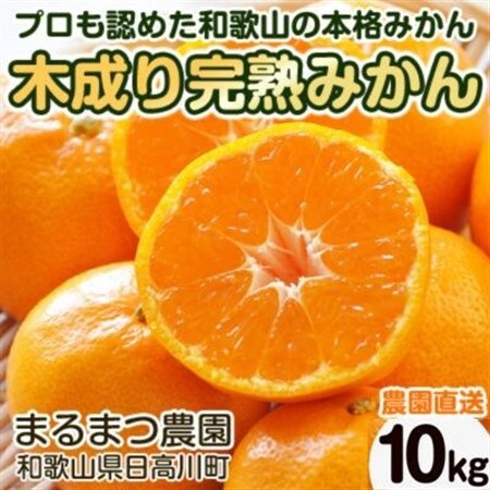 【2026年12月～2027年1月】完熟濃厚 木成り温州みかん ミックスサイズ 10kg 和歌山県【配送不可地域：離島】【1544162】