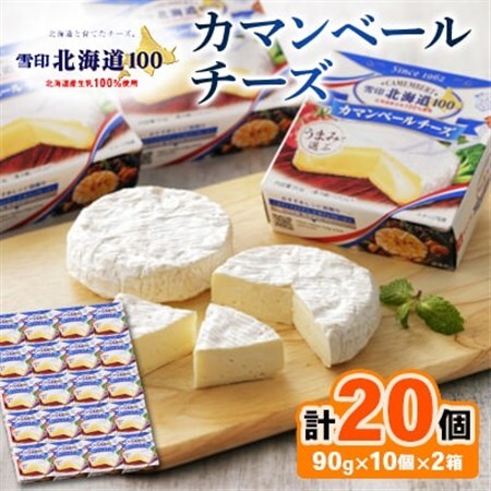 雪印北海道 カマンベールチーズ 2箱(90g×20個入り)_卵・乳製品 チーズ  _【配送不可地域：離島】【1538326】