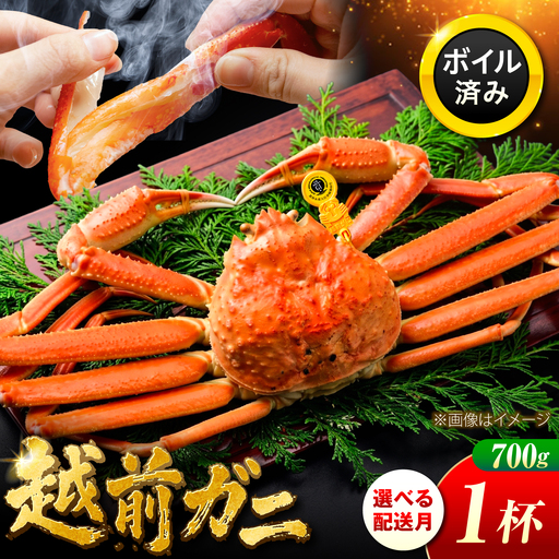 越前がに 700ｇ×1ハイ 【先行予約/11月7日より順次発送】【希望月指定可】   / 蟹 ズワイガニ ずわいがに ボイル 冷蔵 小浜市 / まるほ商店 【配送不可地域：北海道・沖縄・離島】[BFCS021]