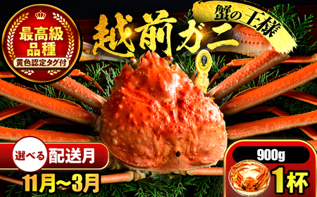 【先行予約/11月7日より順次発送】【希望月指定可】 越前がに 900ｇ×1ハイ  / 蟹 ズワイガニ ずわいがに ボイル 冷蔵 小浜市 / まるほ商店 【配送不可地域：北海道・沖縄・離島】[BFCS027]