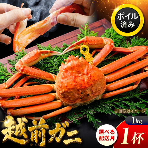 越前がに 1kg×1ハイ 【先行予約/11月7日より順次発送】【希望月指定可】  / 蟹 ズワイガニ ずわいがに ボイル 冷蔵 小浜市 / まるほ商店 【配送不可地域：北海道・沖縄・離島】[BFCS030]
