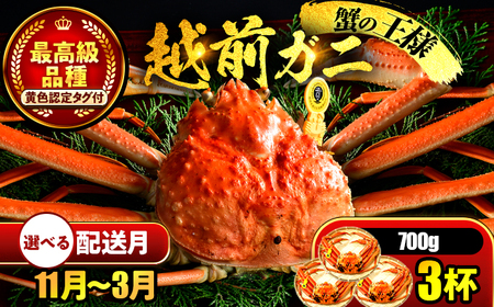 【先行予約/11月7日より順次発送】【希望月指定可】 越前がに 700ｇ×3ハイ  / 蟹 ズワイガニ ずわいがに ボイル 冷蔵 小浜市 / まるほ商店 【配送不可地域：北海道・沖縄・離島】[BFCS023]