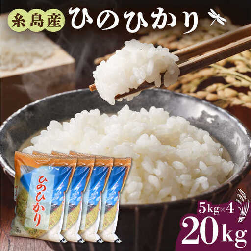米 ひのひかり 20kg [AIM075] 米