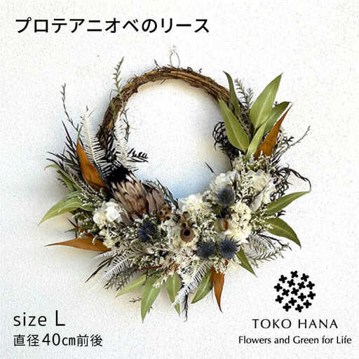 プロテアニオベのリース（Lサイズ） 糸島市 / tokohana ドライフラワー アレンジ[AOC033]