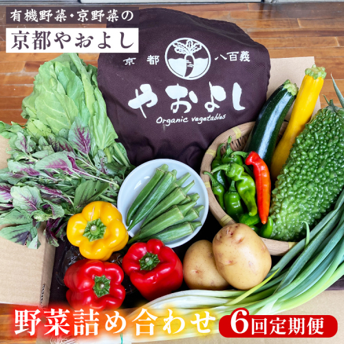 【6回定期便】有機野菜詰め合わせ 野菜