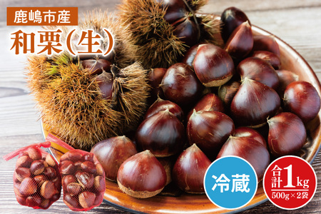 栗 くり 和栗 500g×2袋 計1kg 栗