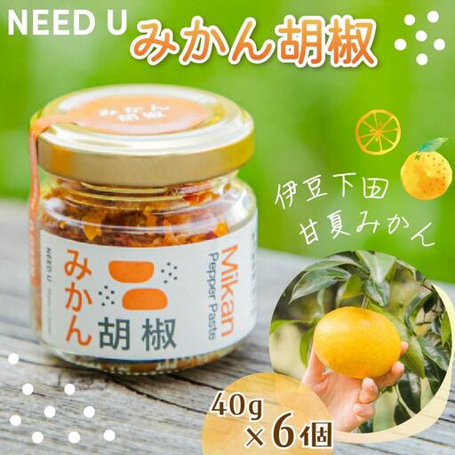 みかん胡椒 6個 調味料 こしょう 料理 蜜柑 甘夏 NEED U 伊豆 下田