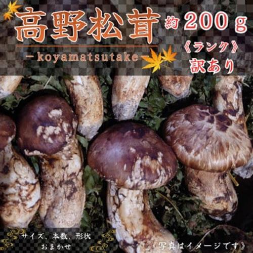 [和歌山産]〜香りそのまま真空パック〜高級・希少 高野松茸 200g(訳有品詰合せ)_野菜 松茸 きのこ まつたけ マツタケ_[配送不可地域:離島・北海道・沖縄県]