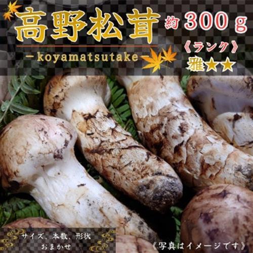 [和歌山産]〜香りそのまま真空パック〜高級・希少 高野松茸 300g(雅:★★)_野菜 松茸 きのこ まつたけ マツタケ_[配送不可地域:離島・北海道・沖縄県]
