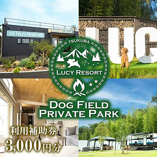 グランピング LUCY RESORT 利用券 3,000円分 グランピング