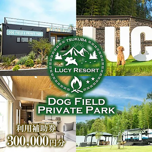 グランピング LUCY RESORT 利用券 300,000円分 グランピング
