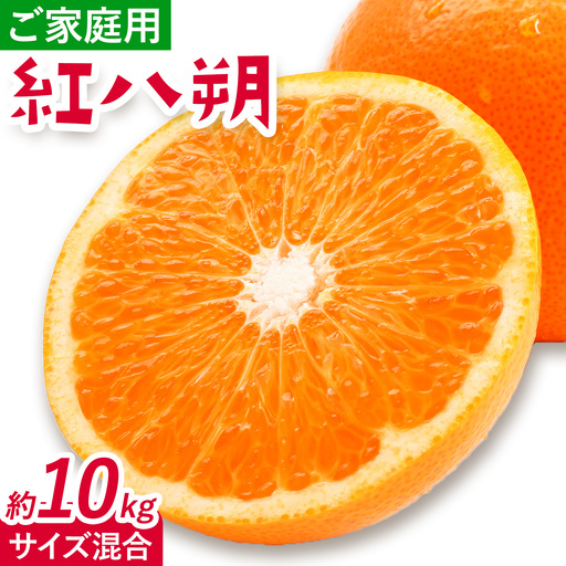 みかん 紅八朔 ご家庭用 10kg サイズ混合 八朔