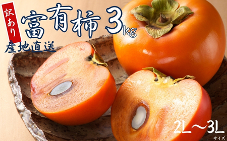 [ 訳あり ]令和8年産 富有柿 3kg ( 2L~ 3L ) 10-12個 カキ かき 果物 くだもの フルーツ サイズ不揃い 表面 キズ 色ムラ 家庭用規格 のため 訳アリ わけあり 自宅用 家庭 岐阜県 本巣市 高橋柿ファーム 先行予約 11月中旬〜 発送予定 [mt1663] 8000円 [mt1663_26]
