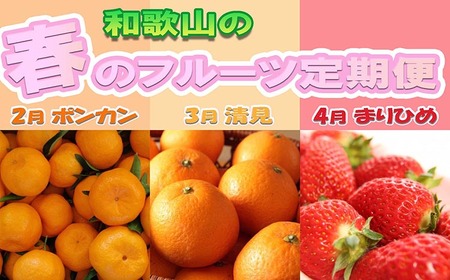 〈定期便〉【2・3・4月 全3回】和歌山の春のフルーツ（ポンカン・清見オレンジ・まりひめ） ◇｜フルーツ※北海道・沖縄・離島への配送不可