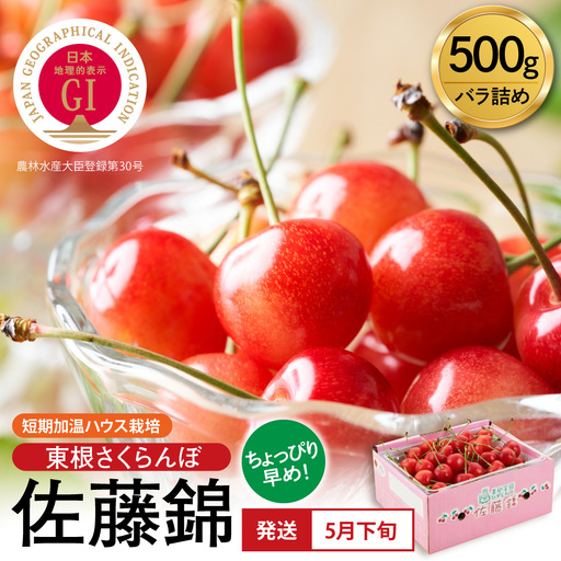 2027年産 短期加温 GI 東根 さくらんぼ 佐藤錦 500g さくらんぼ