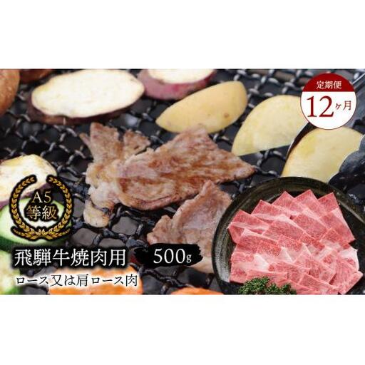 【１２ヶ月定期便】 A5等級 飛騨牛 焼肉用 500ｇ ロース又は肩ロース肉