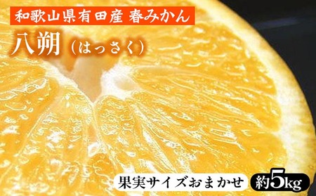 八朔(はっさく)[約5kg]和歌山県有田産 春みかん[果実サイズおまかせ] | 和歌山県産 柑橘 フルーツ 紀伊国屋文左衛門本舗