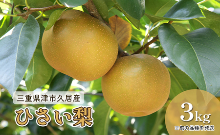 三重県津市久居産 【鈴木果樹園 ひさい梨 3kg】 [ 梨 幸水 秀玉 豊水 ナシ 果物 フルーツ 産地直送 ] 