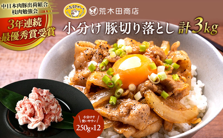 豚肉 一志SPポーク 豚切り落とし 小分け 国産 豚肉[250g×12P 計3kg][冷凍]